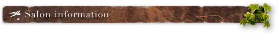 Salon information